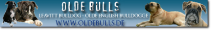 Banner Olde Bulls