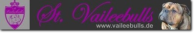 Banner Vaileebulls